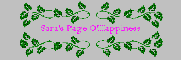 Welcome to 
Sara's Page O' Happiness